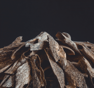 Đại lý trầm hương