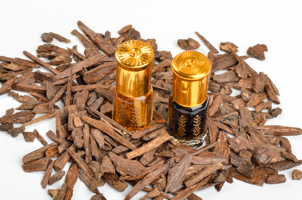 Đại lý trầm hương