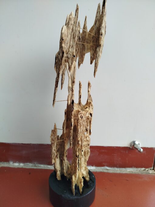 Tramcanhkhanhhoa 600gram 1 www.tramhuongvietnam.vn