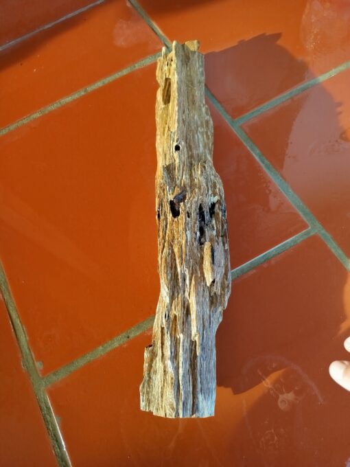 Tramcanhthiennhien 900gram 1 www.tramhuongvietnam.vn