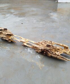 Trầm cảnh thiên nhiên Kiến vietnam 400gram